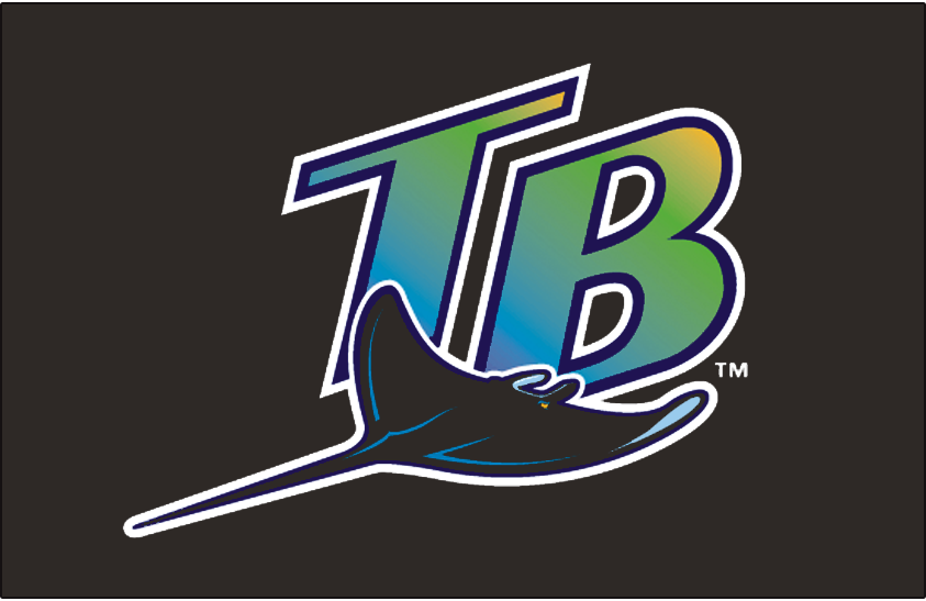 Tampa Bay Devil Rays 1998-2000 Cap Logo fabric transfer